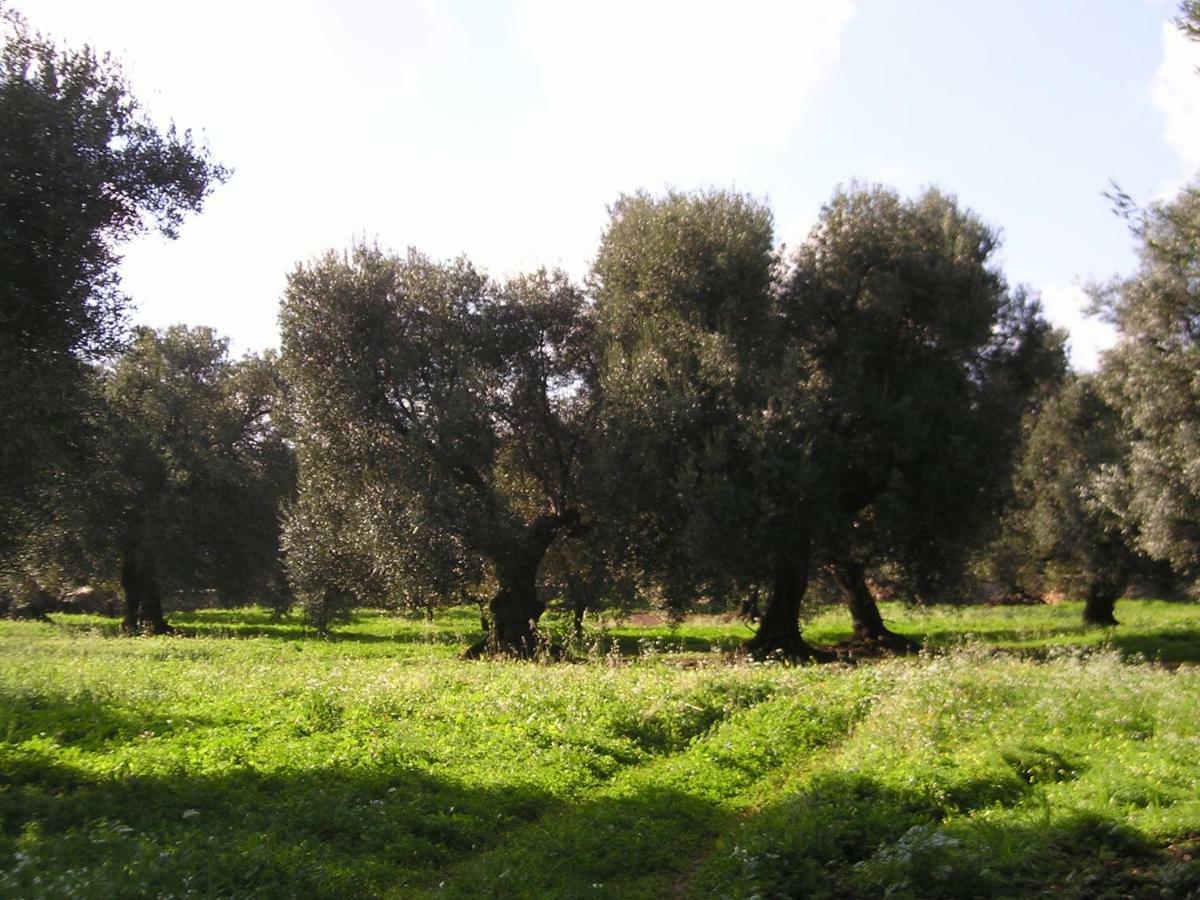 Masseria Gianecchia Cisternino Luaran gambar